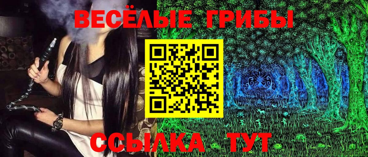 Альметьевск  Галлюциногенные грибы Cubensis  где найти   Вход с VPN 